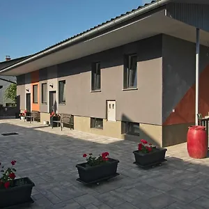 Drevi Lublana